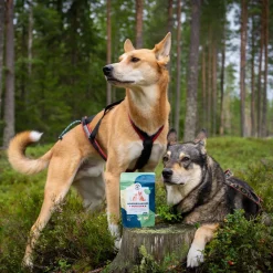 Tassu Foods Tandpulver + Lingon för Hund & Katt 90 g