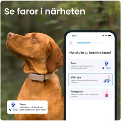 Tractive GPS & Health Tracker för Hundar Brun