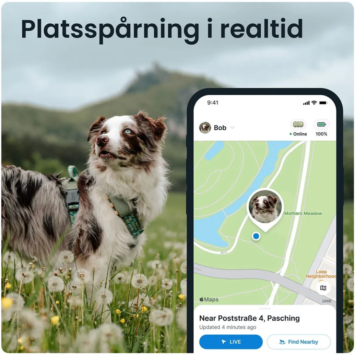 Tractive GPS Hund XL