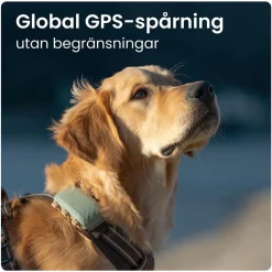 Tractive GPS Hund XL