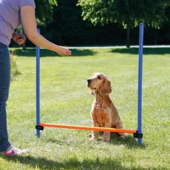 Trixie Agility Hopphinder