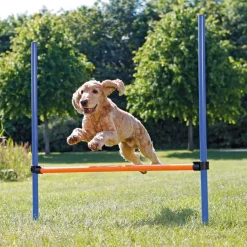 Trixie Agility Hopphinder