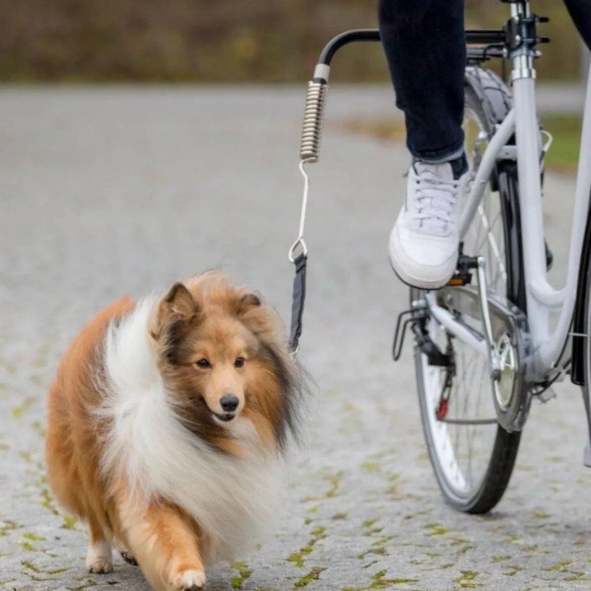 Trixie Biker-set De Luxe Cykelset