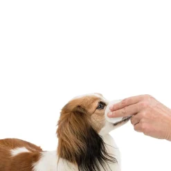 Trixie Ögonservett med Aloe Vera 100-pack