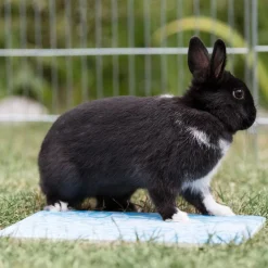 Trixie Kylplatta för Smådjur