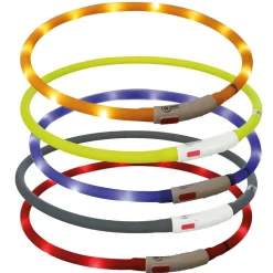 Trixie LED Lysande Hundhalsband med USB 70 cm