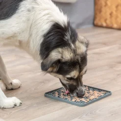 Trixie Lick'n'Snack Slickmatta Grå 20 cm