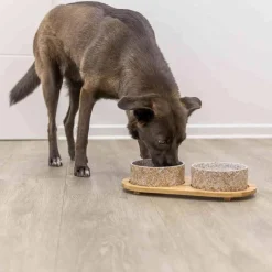 Trixie Matskål och Vattenskål med Bricka