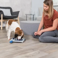 Trixie Mini Mover Aktiveringsleksak