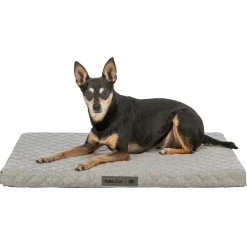 Trixie Noah Vital Ortopedisk Hundmadrass