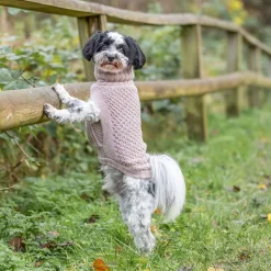 Trixie Norwood Hundtröja med Krage Beige