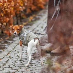 Trixie Pontis Regnjacka med Sele Grön