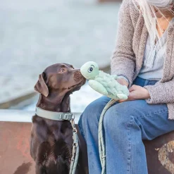 Trixie Sköldpadda Mjukisdjur till Hund 27 cm