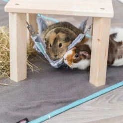 Trixie Sunny Plattform med Hammock
