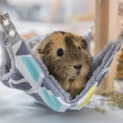 Trixie Sunny Plattform med Hammock