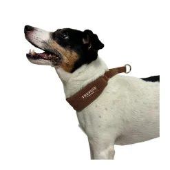 Trufois Brett Hundhalsband Halvstryp Brun