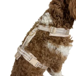 Trufois Comfy Hundsele Beige