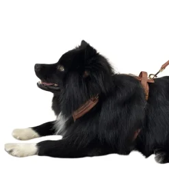 Trufois Comfy Hundsele Brun