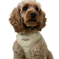 Trufois Lite Hundsele Beige