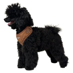 Trufois Lite Hundsele Brun