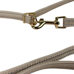 Trufois Multifunktionellt Hundkoppel Beige