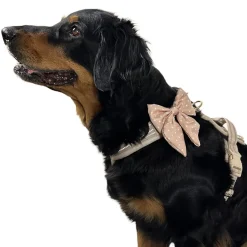 Trufois Rosett Bambi Prickig Beige