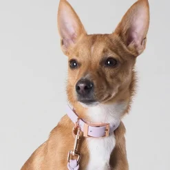 Tyylivoitto Classy Hundhalsband Lila