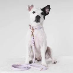 Tyylivoitto Classy Hundhalsband Lila