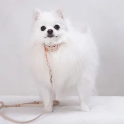 Tyylivoitto Classy Hundhalsband Beige