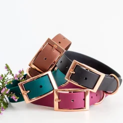 Tyylivoitto Classy Hundhalsband Stor Modell Grön