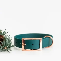 Tyylivoitto Classy Hundhalsband Stor Modell Grön