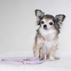 Tyylivoitto Hundkoppel Flätat Lila