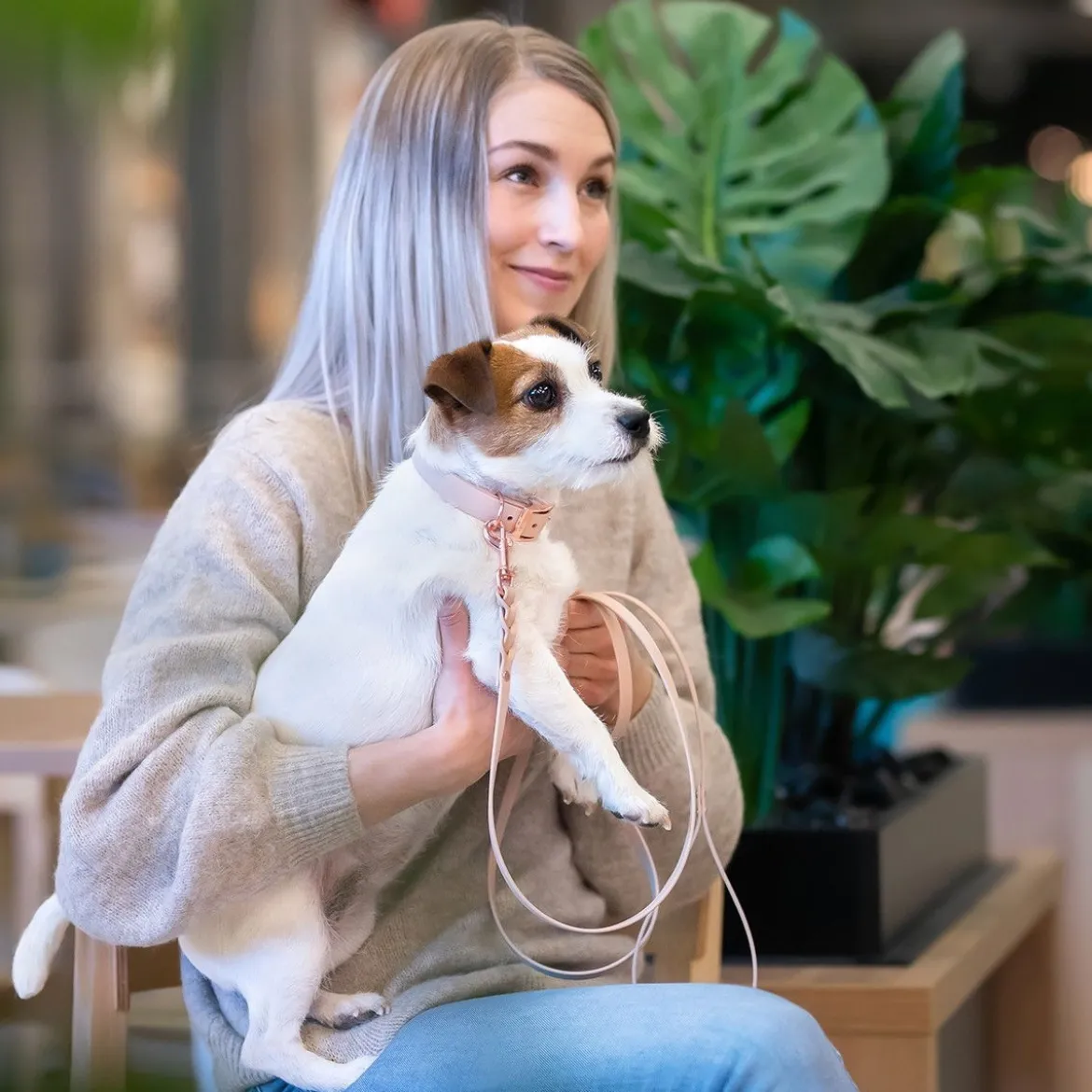 Tyylivoitto Hundkoppel Flätat Beige