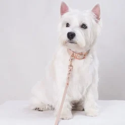 Tyylivoitto Hundkoppel Flätat Beige