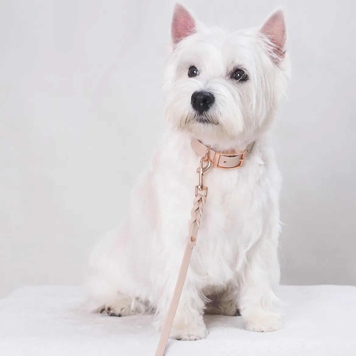 Tyylivoitto Hundkoppel Flätat Beige