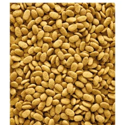 VL NutriBird P15 Original 1 kg