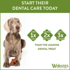 Whimzees Alligator Medium 12-pack