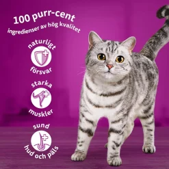 Whiskas Klassiska Måltider i Gelé 60x85 g