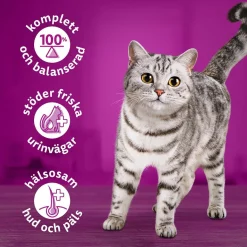 Whiskas Kyckling i Sås 400 g