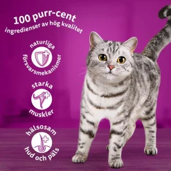 Whiskas 1+ Oxe, Lamm och Kyckling i Sås 40x85 g