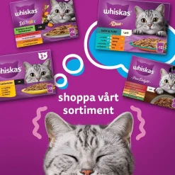 Whiskas 1+ Oxe, Lamm och Kyckling i Sås 40x85 g