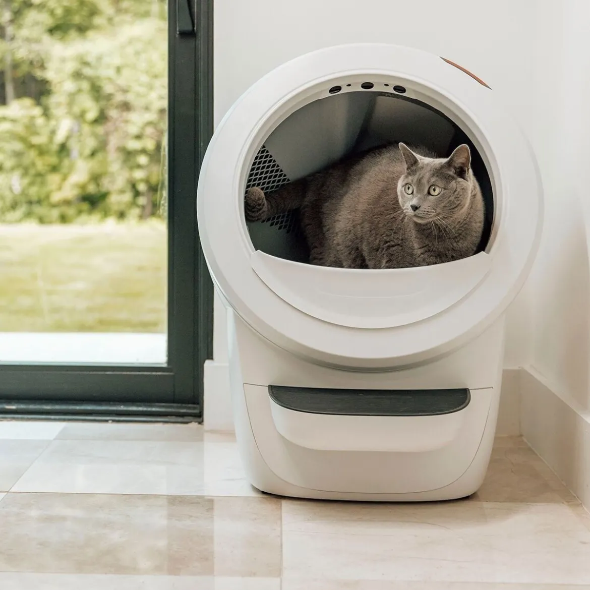 Whisker Litter-Robot 4 Självrengörande Kattlåda Vit