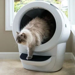 Whisker Litter-Robot 4 Självrengörande Kattlåda Vit