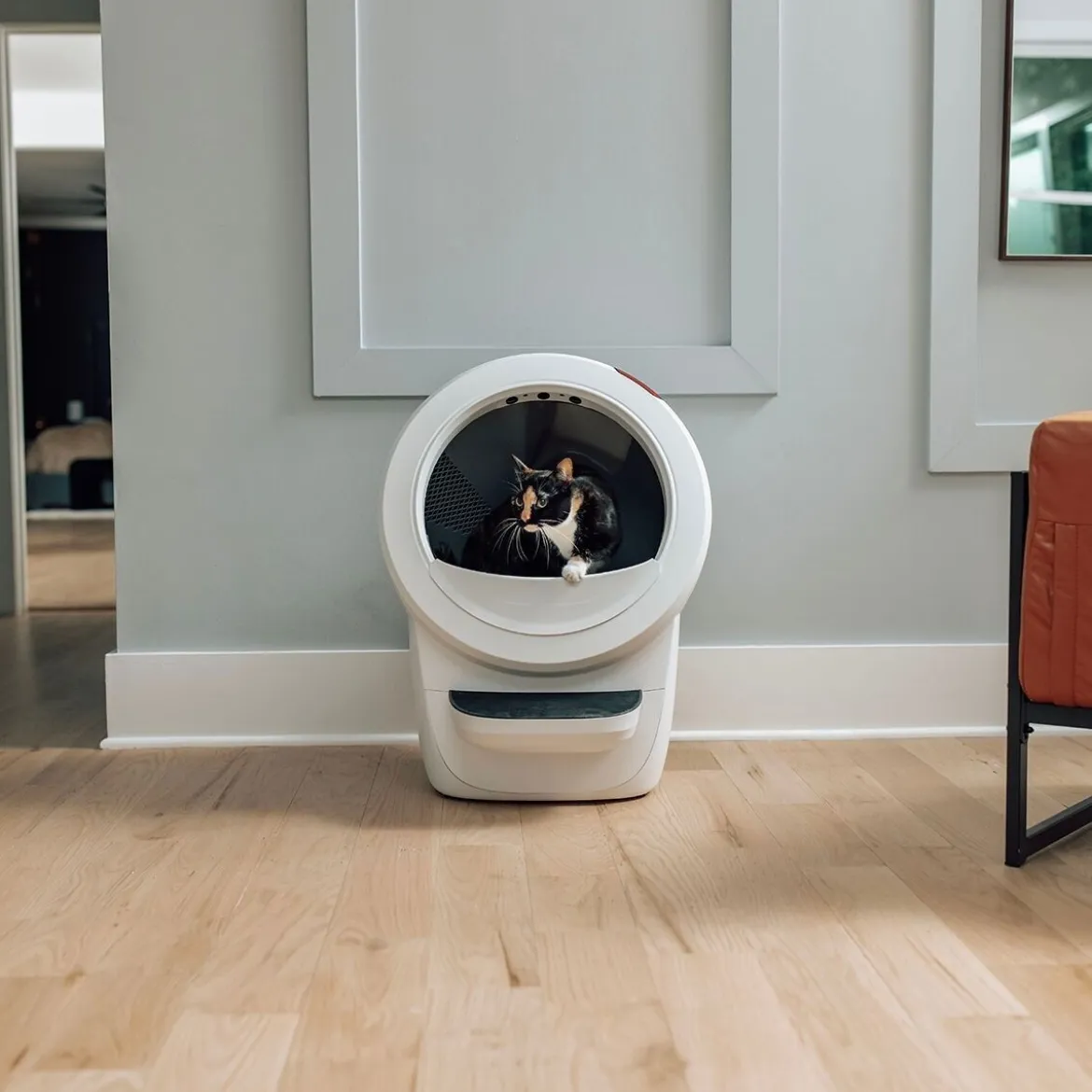 Whisker Litter-Robot 4 Självrengörande Kattlåda Vit