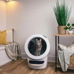 Whisker Litter-Robot 4 Självrengörande Kattlåda Vit