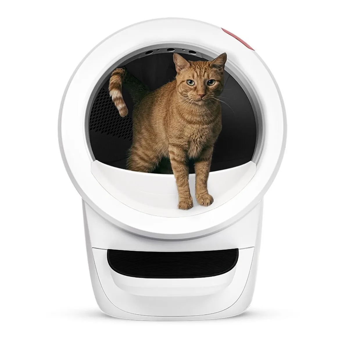Whisker Litter-Robot 4 Självrengörande Kattlåda Vit