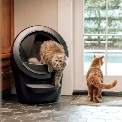Whisker Litter-Robot 4 Självrengörande Kattlåda Svart