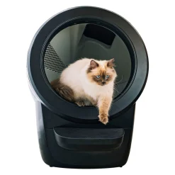 Whisker Litter-Robot 4 Självrengörande Kattlåda Svart