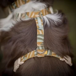 Woolly Wolf Cloudbeam Hundsele Brun