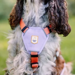 Woolly Wolf Color Block Hundsele Rosa/Grön/Lila